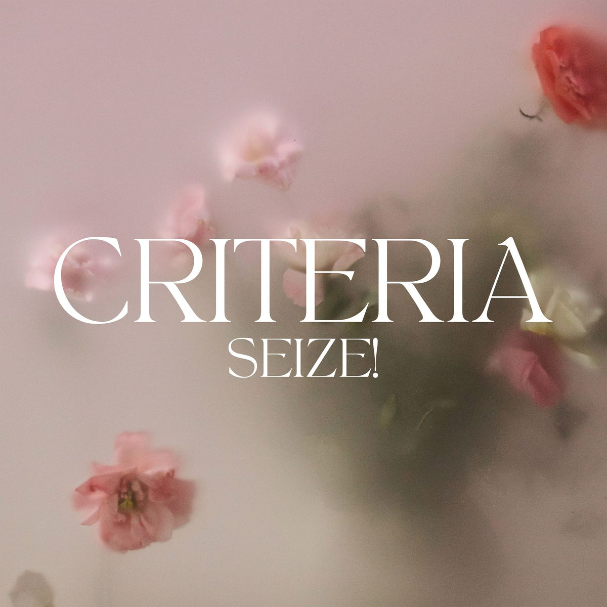 Criteria - SEIZE! LP – Thirty Something Records
