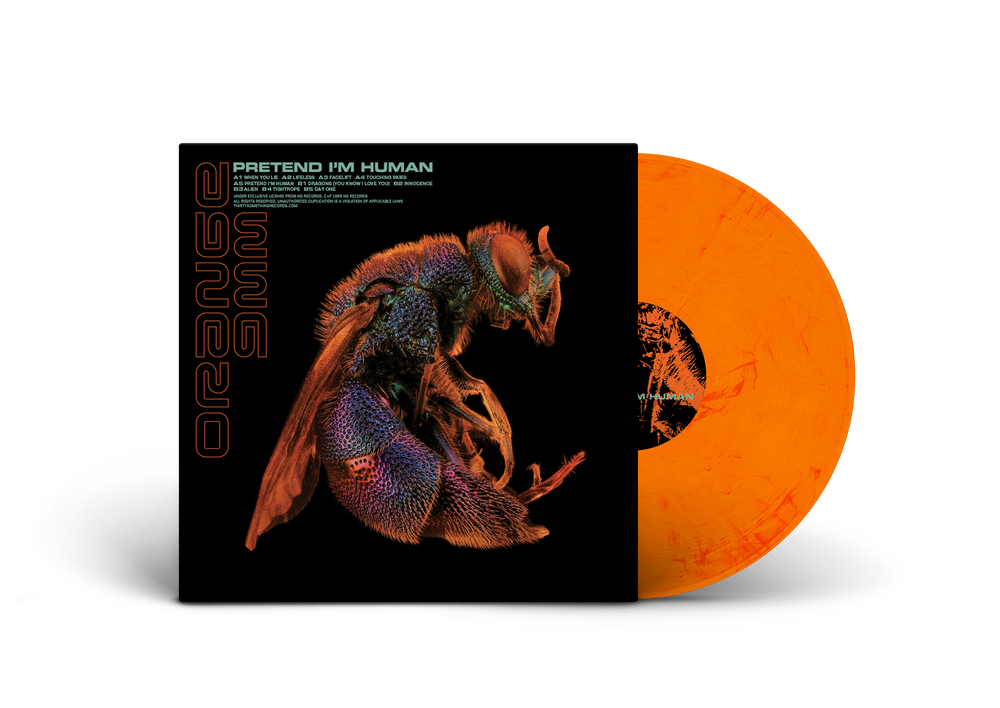 ORANGE 9mm レコード Dark green 希少盤 Amazon.com: Orange 9MM: CDs & Vinyl